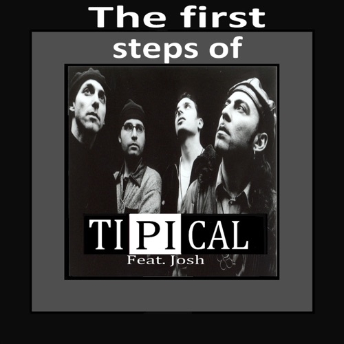 TI.PI.CAL. FEAT. JOSH - It hurts (1996)